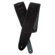 Planet Waves 25SS00-DX