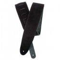 Planet Waves 25SS00-DX