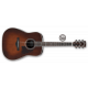 Ibanez AVD10-BVS