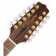 TAKAMINE G70 SERIES GJ72CE-12NAT
