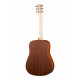 Kremona M10-GG Steel String Series Green Globe
