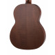 NewTone SCLSNT Silena