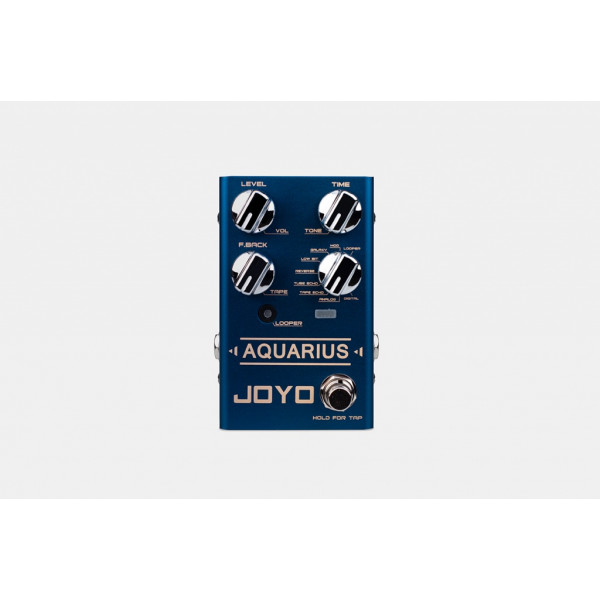 Joyo R-07-AQUARIUSDELAY/LOOPER