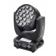Bi Ray ML19W