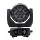 Bi Ray ML19W