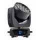 Bi Ray ML19W