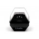 LAudio WS-BM100