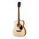 Cort AF510E-OP Standard Series