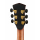 Cort Flow-OC-WCASE-NS Flow Series