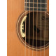 Cort Flow-OC-WCASE-NS Flow Series