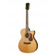 Cort Gold-OC6-Bocote-WCASE-NAT Gold Series