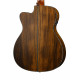 Cort Gold-OC6-Bocote-WCASE-NAT Gold Series