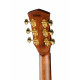 Cort Gold-OC6-Bocote-WCASE-NAT Gold Series