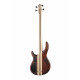 Cort A4-Plus-FMMH-OPLB Artisan Series
