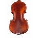 Gliga M-V044-N Master Gliga extra Walnut