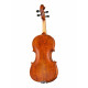 Gliga M-V044-OH Master Gliga extra Ash