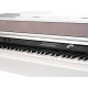 Medeli DP388-PVC-WH