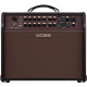 Boss Acoustic Singer Pro