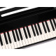 Nux Cherub NPK-10-BK