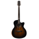 Aion F10