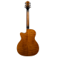 Aion F10