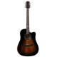 Aion F20