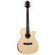 Aion Q10M