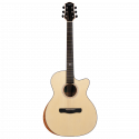 Aion Q10M
