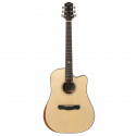 Aion Q20M