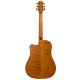 Aion Q20M
