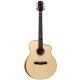Aion Q30M