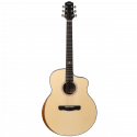 Aion Q30M