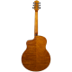 Aion Q30M