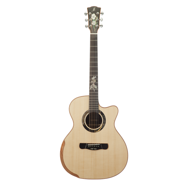 Meridaextrema A18GAC 1