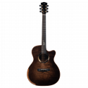Meridaextrema Duke-GAC