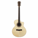 Meridaextrema E1FCS