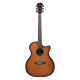 Meridaextrema PA43GAC-BT