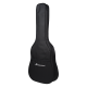 Meridaextrema PA43GAC-BT