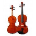 Kaiming Viola D 300