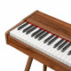 Цифровое фортепиано EMILY PIANO D-47 Walnut