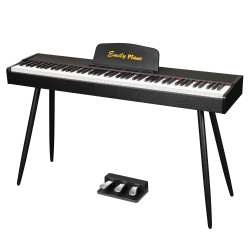Цифровое фортепиано EMILY PIANO D-47 BK