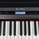 Цифровое фортепиано EMILY PIANO D-20 BK
