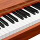 Цифровое фортепиано EMILY PIANO D-52 BR