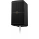 Turbosound KT10-HP