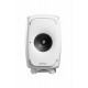 Genelec 8331AW