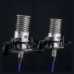 Aston Microphones ORIGIN STEREO PAIR