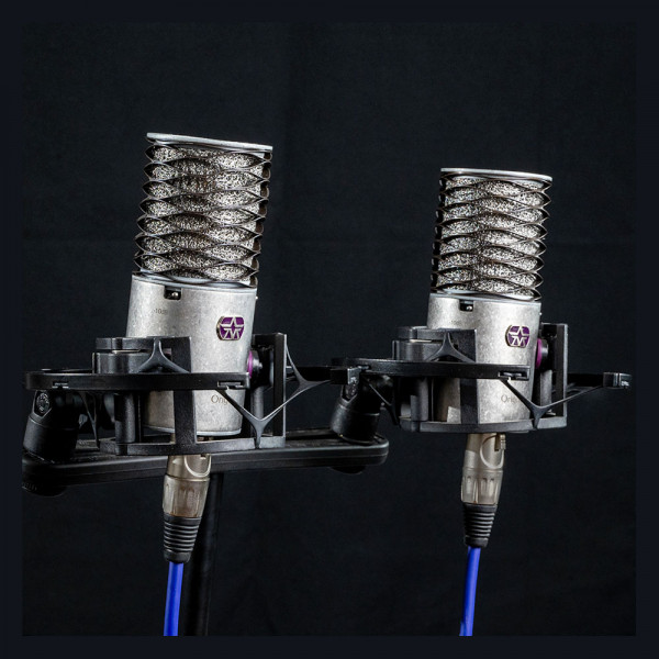 Aston Microphones ORIGIN STEREO PAIR
