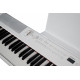 Artesia PE-88 WH