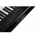 Artesia Performer Black