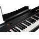 Artesia Performer Black